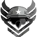 Camo Division