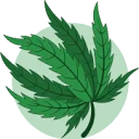 Canna Hemp