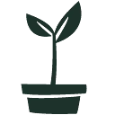 Fleurdirect