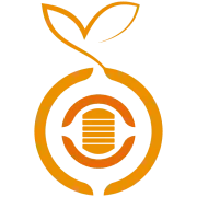 Orange softbd
