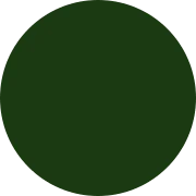 Seed
