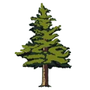 Trees for a Change