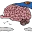 TruBrain